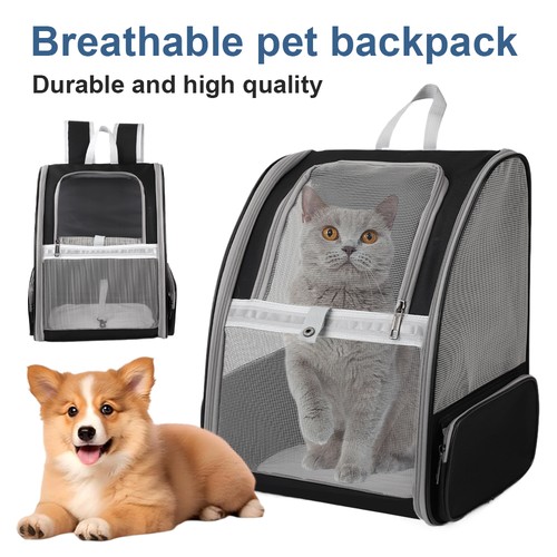 Rucksack für hund - hund, katze