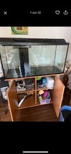 Juwel Aquarium 200L mit