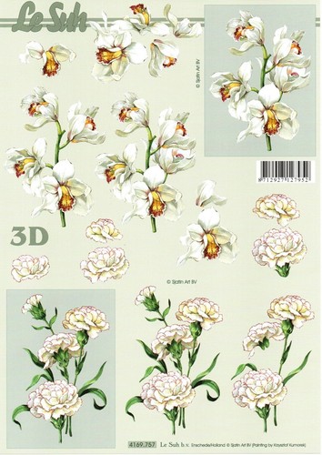 Bogen weiße blumen - -,