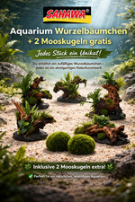 Aquariumwurzel Bäumchen