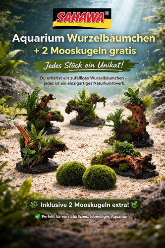 Aquariumwurzel bäumchen - aquariumwurzel,