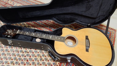 Akustische gitarre prs - prs, se