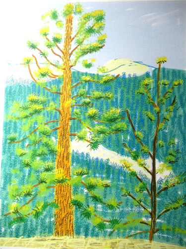 David hockney lithographie - david,