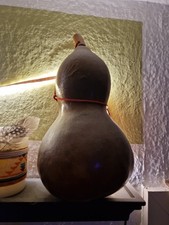 Flaschenkürbis Kalebasse