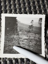 Orig. Foto Bunker