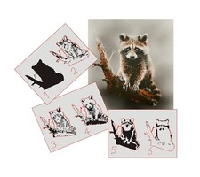 376 waschbär step - step, by
