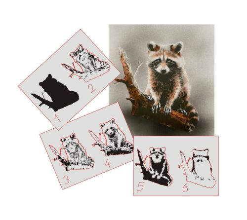 376 waschbär step - waschbär, by