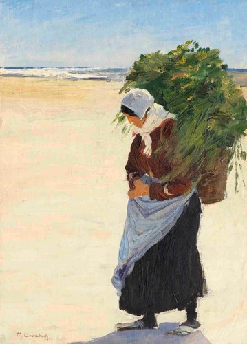 Max clarenbach - max,