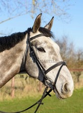 Leder Komfort Pferd Trense