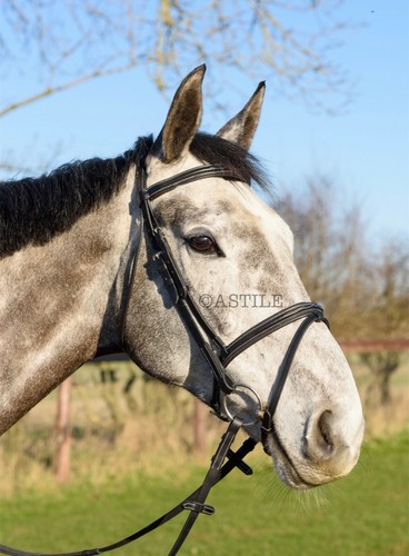 Leder komfort pferd trense - leder,