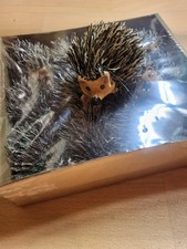 Dekoset Igel Figuren 12 Stück