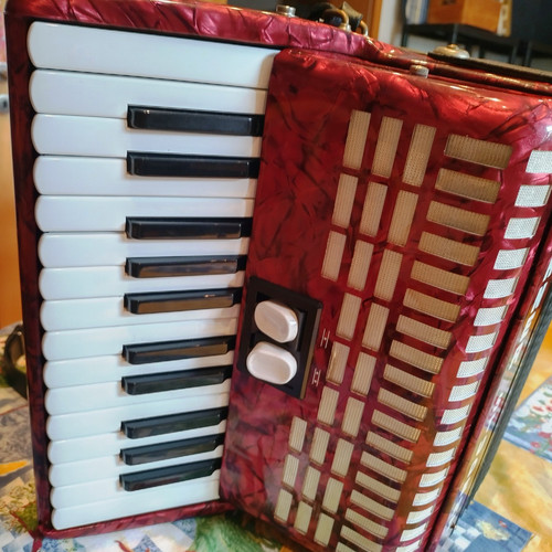 Hohner akkordeon student - akkordeon,