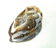 Fossilized Gastropod with Druzy Quartz Crystals -Shell ? Fossil Schnecke