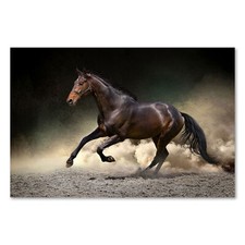 Postereck 2912 Poster Leinwand