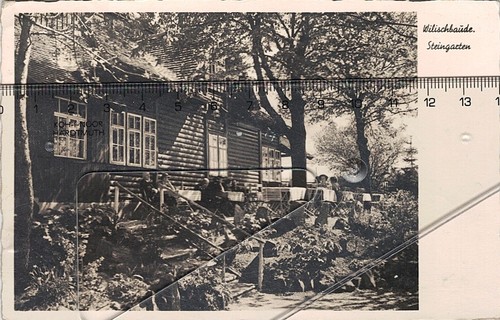 Wilisch baude terrasse - baude,