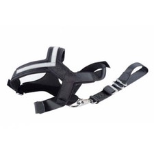 Kleinmetall Allsafe Sicherheitsgurt fürs Auto