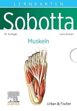 Sobotta Lernkarten Anatomie: Muskeln Lars Bräuer Buch Sobotta Schuber XII 2024