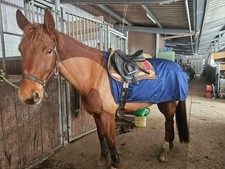 Ausreitdecke Wetterfest mit