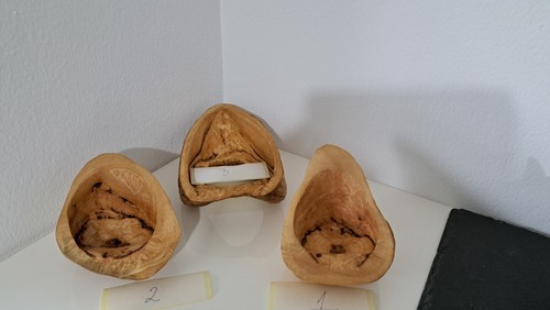 Holzschale design deko - holzschale,,