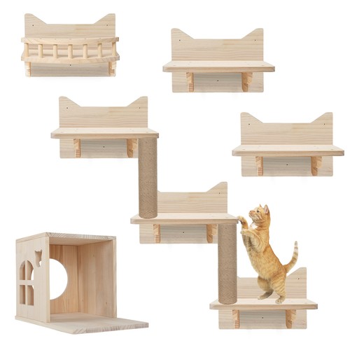 Katzen kletterwand - katzen,