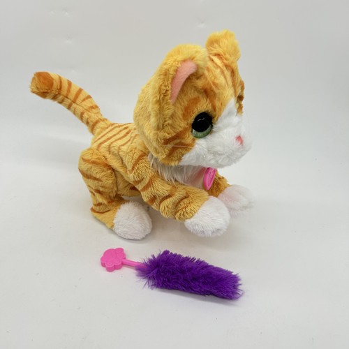Just play furreal bella the - just,