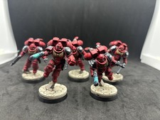 40K Space Marines Blood Angels Jump Intercessor 1.2 Pro Painted