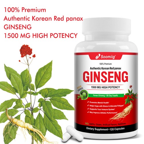 Neu roter panax ginseng - roter,