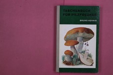 274602 Bruno Hennig