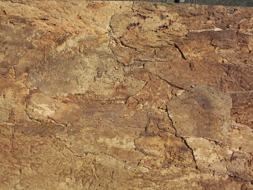Korkrückwand innen desert - innen,
