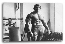 Wandbild Junger Arnold