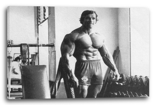 Wandbild junger arnold - junger,