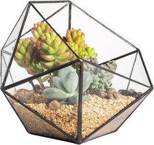 Glas Terrarium Pflanzgefäß