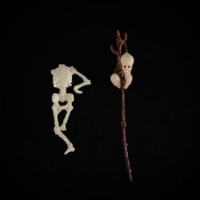 Amanaman's Corpse & Staff for