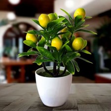 Künstlicher Zitronenbaum im