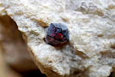 Granat  dunkelrot/violett auf