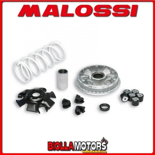 5111324 variomatik malossi - 5111324,