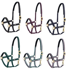 Eskadron Halfter Schiebeschnalle Basic Performance Messing Vollblut ( Cob )