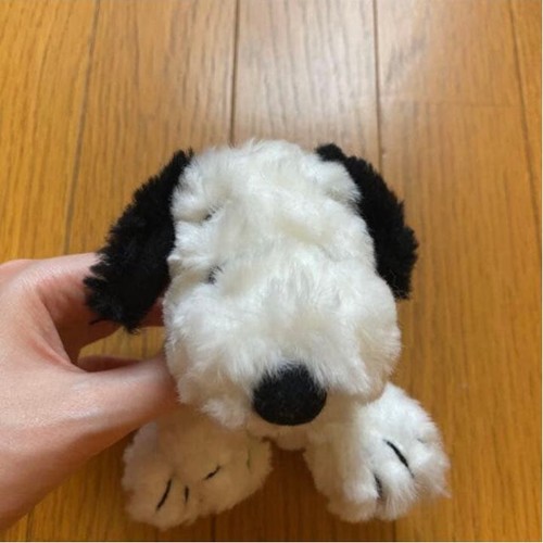 Snoopy kuscheltier - snoopy, snoopy♡kuscheltier