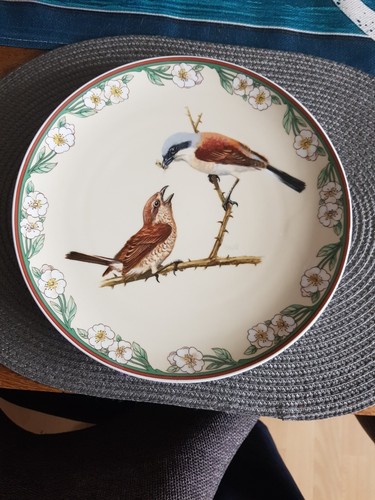 Wandteller villeroy boch - wandteller,