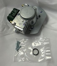 Glühwürmchen 0020018823