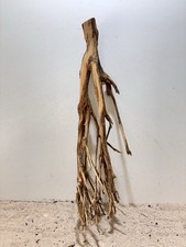 Talawa Wurzel XXL ähnlich