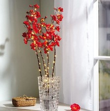 Lichter- Blütenzweig