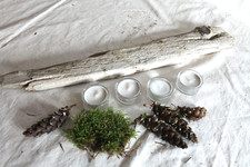 Treibholz Advents-Brett L 50