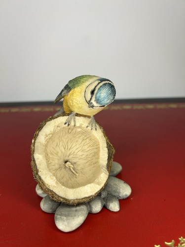 Border fine arts society - fine,