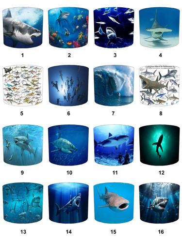Great white shark - great,
