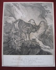 J. E. Ridinger: Landschaft Hirsch Geweih 1744/Landscape Stag Print Radierung