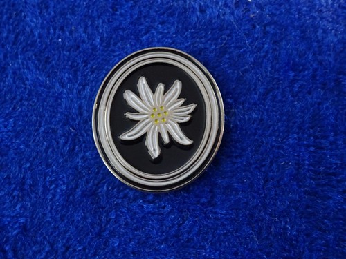 Pin bundeswehr - (86),