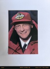 Niki lauda schönes - niki,