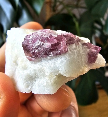 Spinell spinel rot - spinel, lila