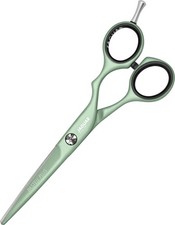 Jaguar Pastell Plus Offset